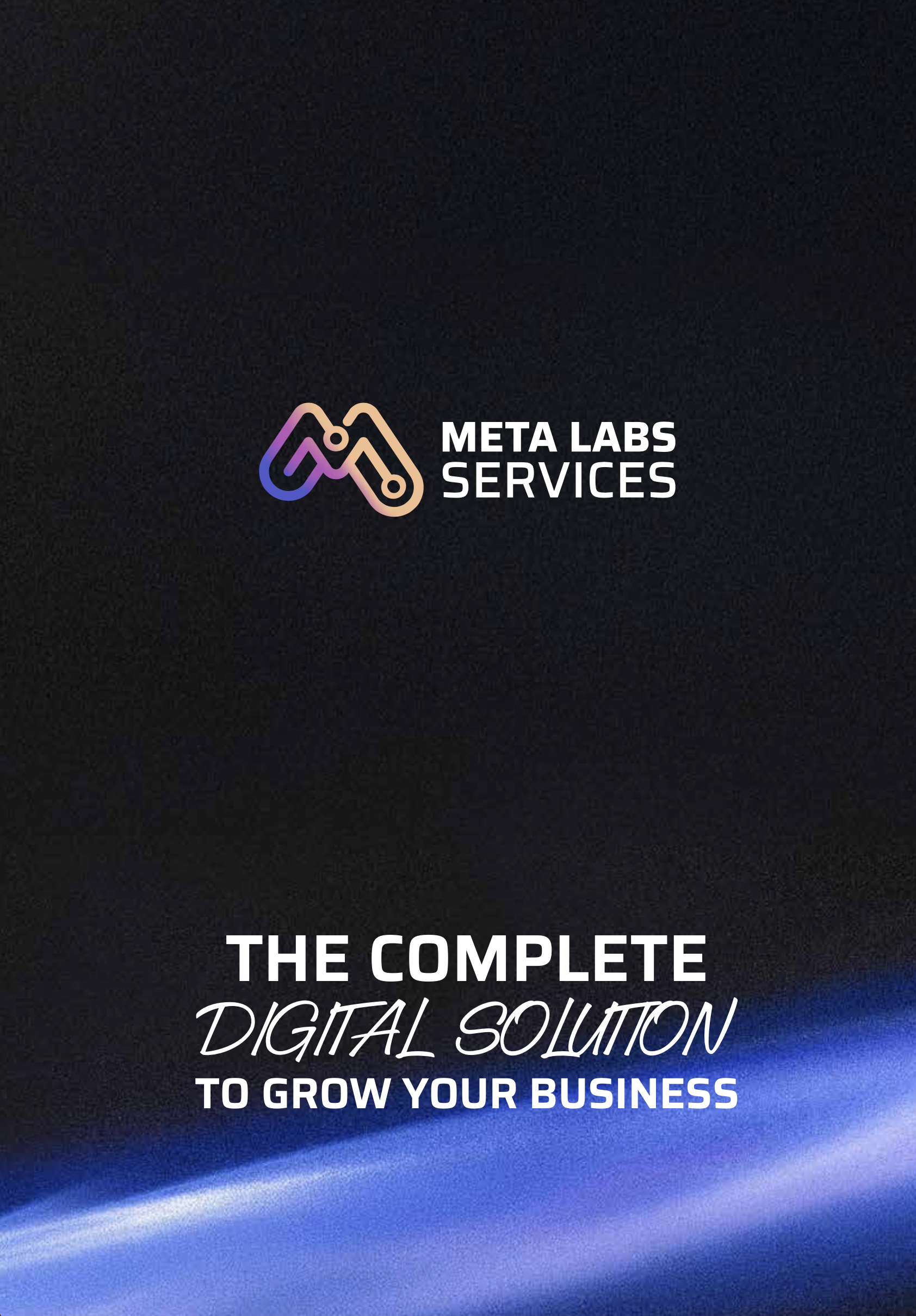Meta Labs company profile